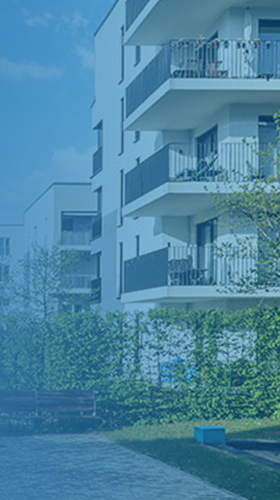 Desarrollo y promoción inmobiliaria Desarrollo y promoción inmobiliaria